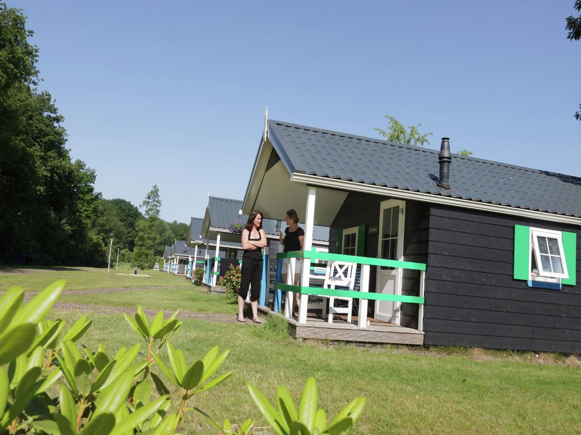 Chalet With Dishwasher, In Natural Environment IJhorst Eksteriør bilde
