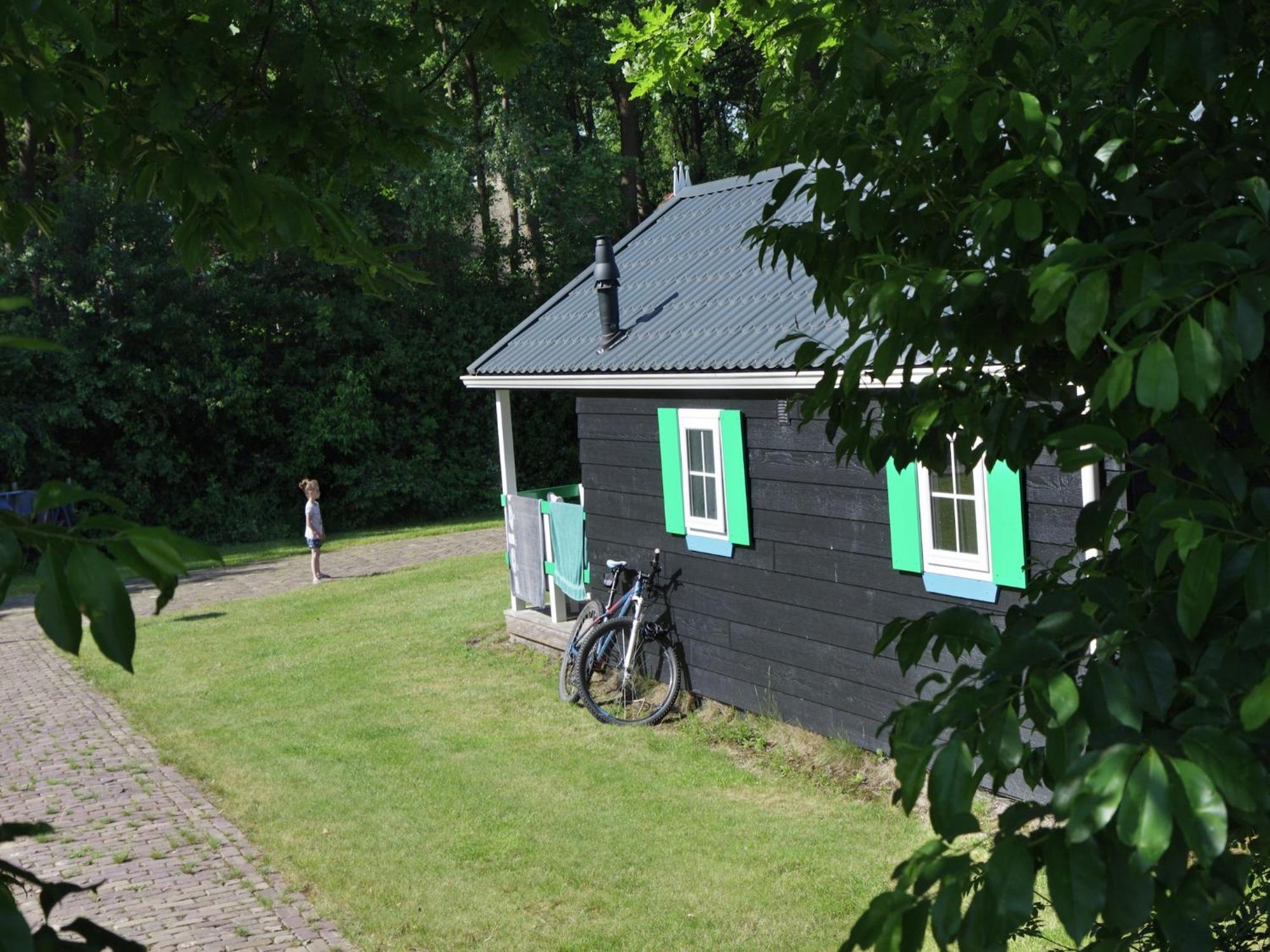 Chalet With Dishwasher, In Natural Environment IJhorst Eksteriør bilde